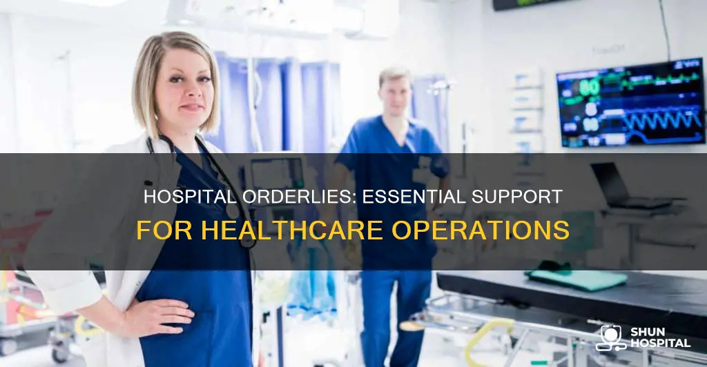 what is an orderly at a hospital