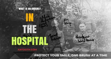 Hospital Orderlies: Essential Support for Healthcare Teams