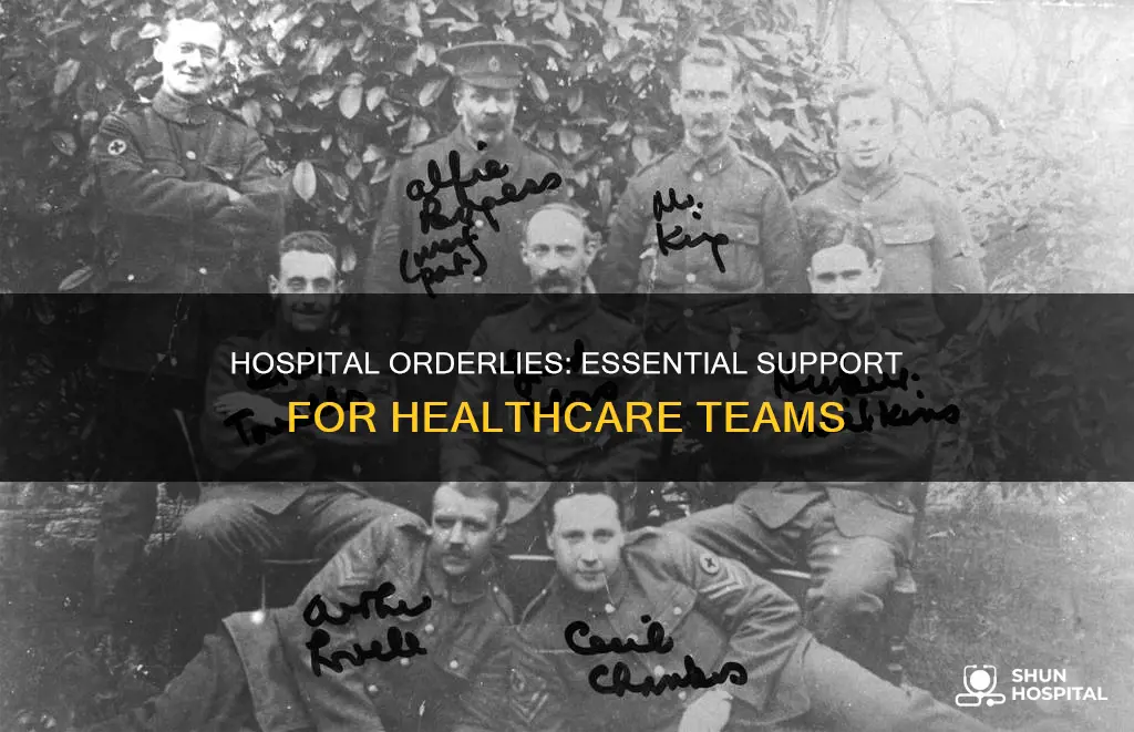 what is an orderly in the hospital