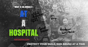 The Role of an Ordially in Hospitals Explained
