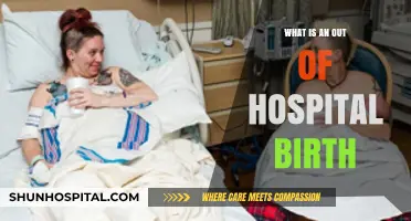 Out-of-Hospital Birth: What, Where, and How?