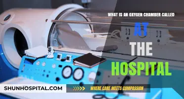 Understanding Hyperbaric Oxygen Therapy: The Hospital Chamber's Healing Power
