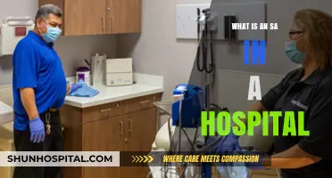 Hospital SAs: Supporting Patient Care
