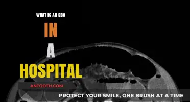 Understanding the Hospital's SBO: Their Critical Role