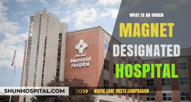 Urban Magnet Hospitals: Specialized Care for Complex Cases