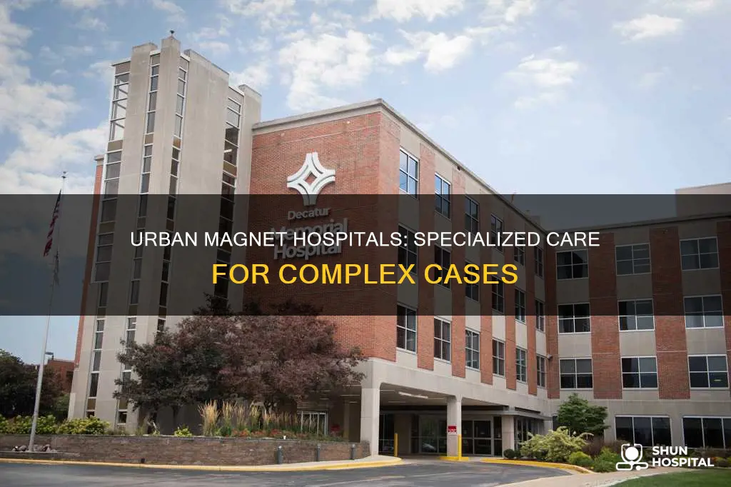 what is an urban magnet designated hospital