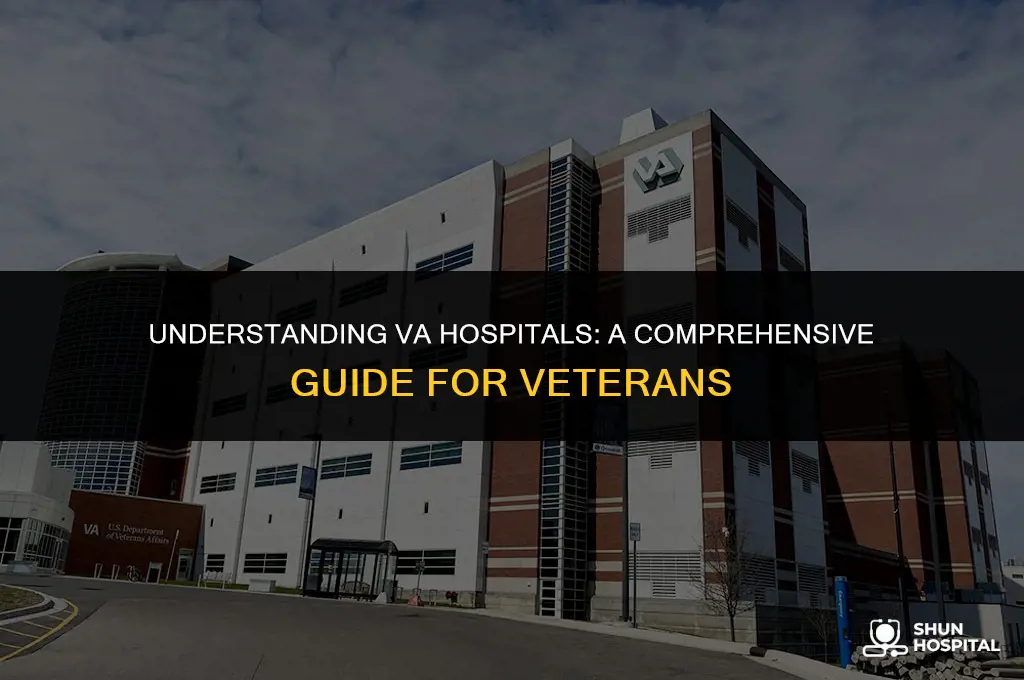 what is an va hospital
