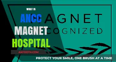 Understanding ANCC Magnet Hospitals: A Comprehensive Overview