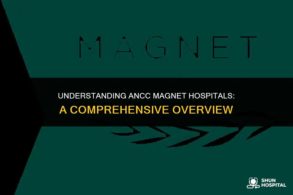what is ancc magnet hospital