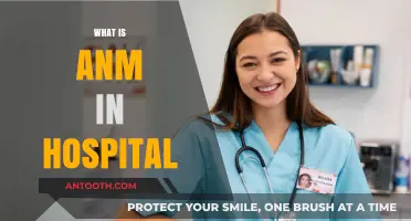 Understanding ANM: A Crucial Role in Hospital Nursing Care