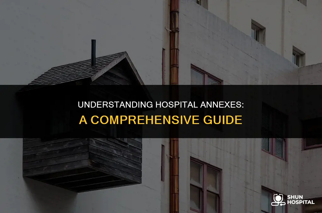 what is annex in hospital