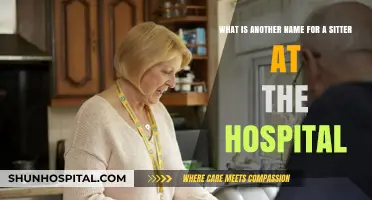 Hospital Sitter Alternatives: Exploring Other Terms for Patient Companions