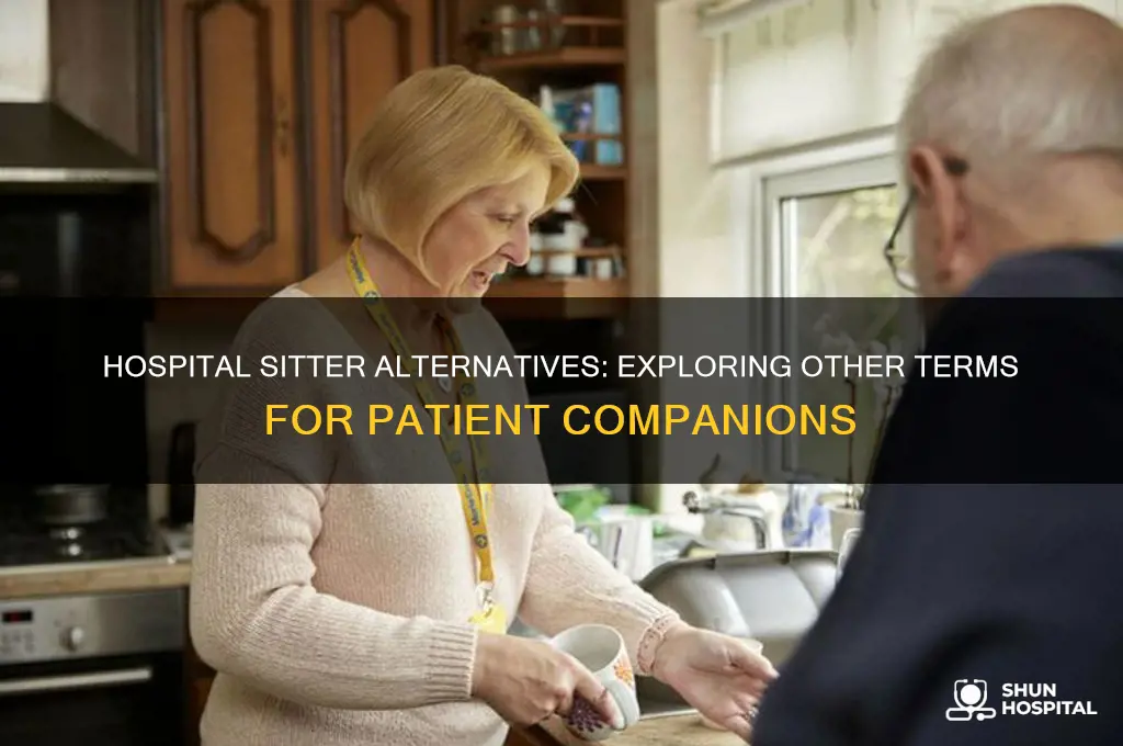 what is another name for a sitter at the hospital