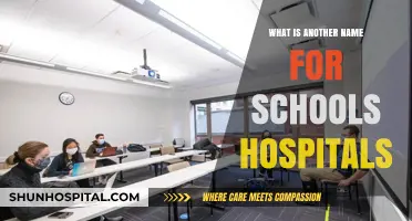 Institutional Namesakes: Schools and Hospitals