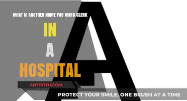 Alternative Titles for Hospital Ward Clerk: Exploring Synonyms and Roles