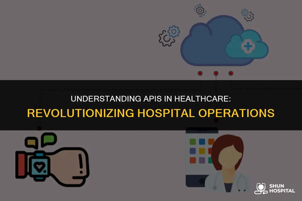 what is api in hospital