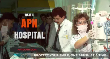 Understanding APN Hospitals: A Comprehensive Guide to Advanced Practice Nursing Facilities