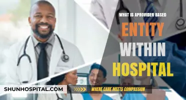 Understanding Provider-Based Entities in Hospitals