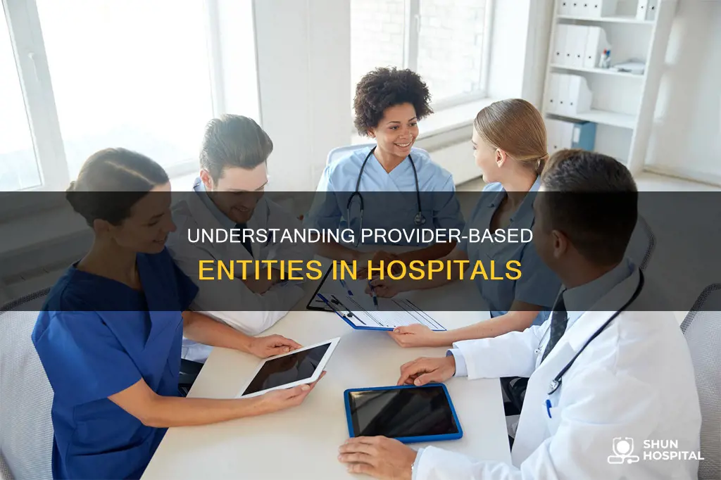 what is aprovider based entity within hospital