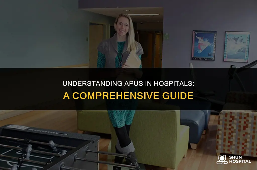 what is apu in hospital