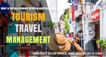 Exploring the Interconnected Roles of Hospitality and Tourism Travel Management