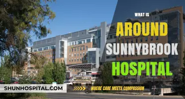 Exploring the Vibrant Neighborhood Around Sunnybrook Hospital
