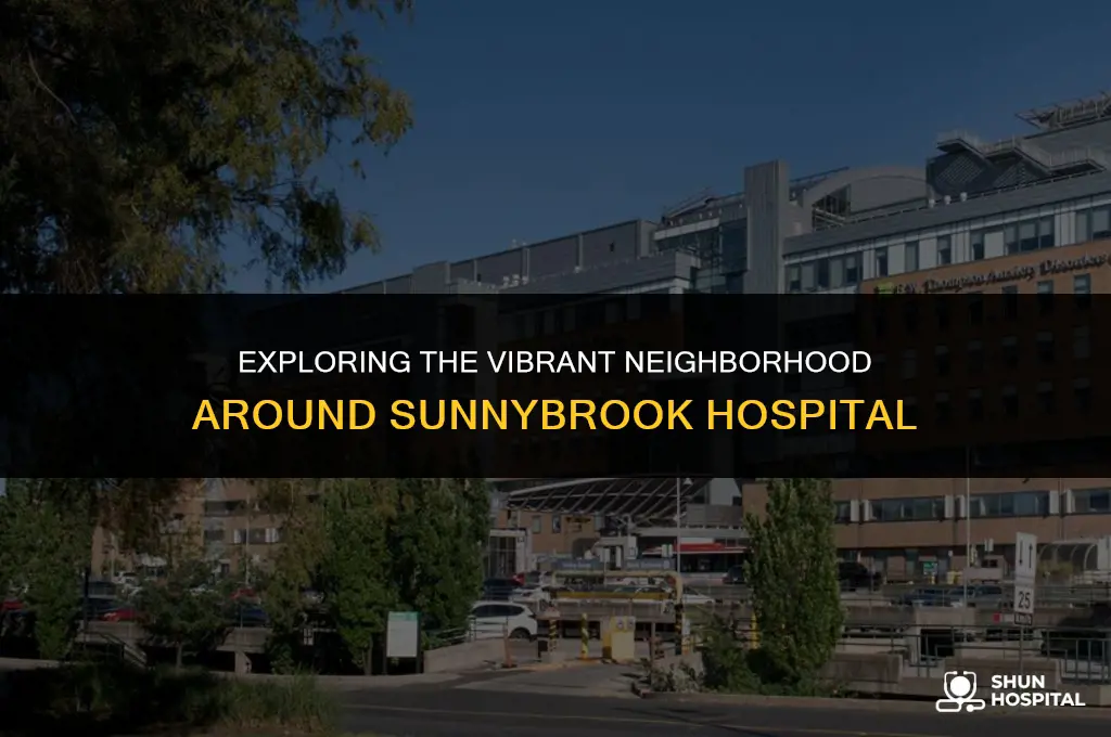 what is around sunnybrook hospital