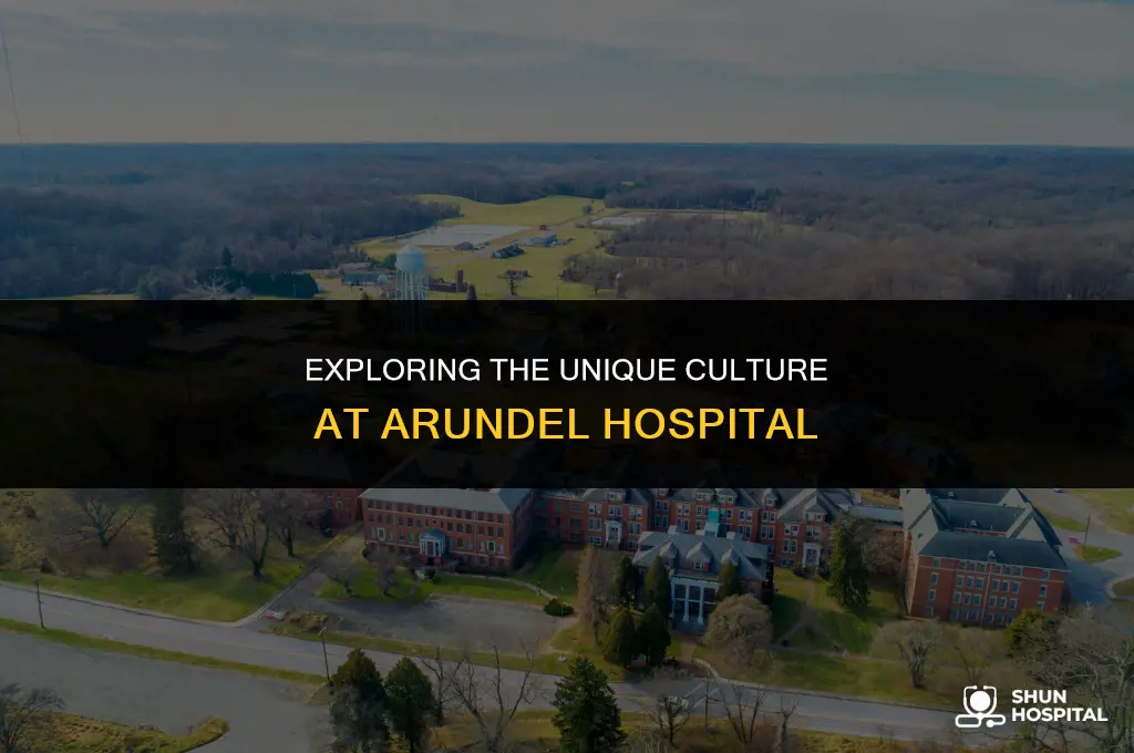 what is arundel hospitals culture