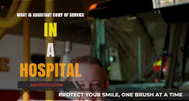 Understanding the Role of an Assistant Chief of Service in Hospitals