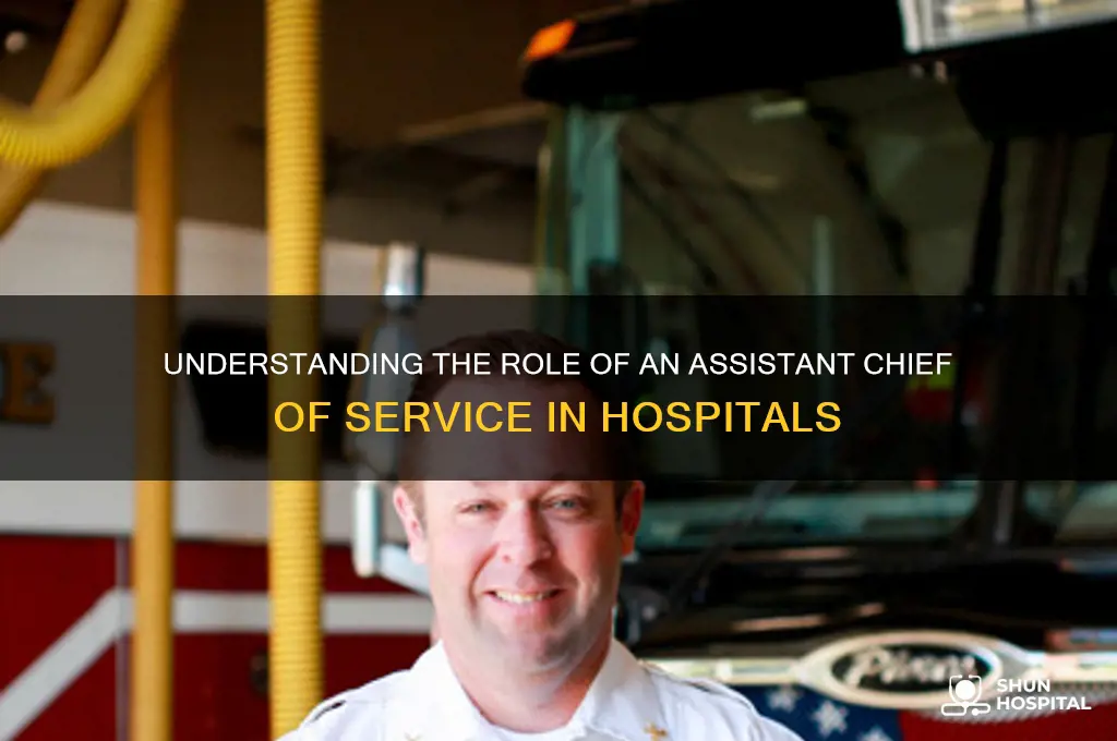 what is assistant chief of service in a hospital