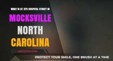 Exploring the Location at 375 Hospital Street, Mocksville, North Carolina