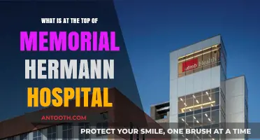 Exploring the Landmark at Memorial Hermann Hospital's Rooftop
