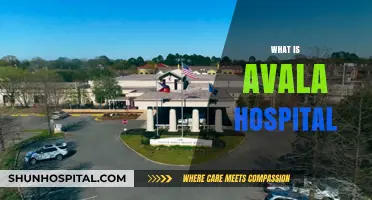 Exploring the Comprehensive Care at Avala Hospital: A Detailed Overview
