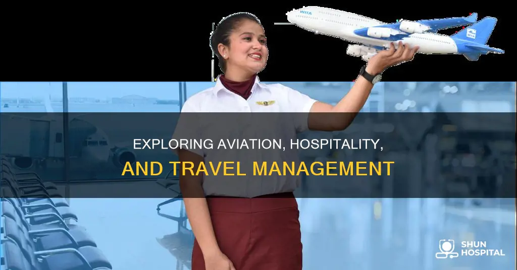 what is aviation hospitality and travel management