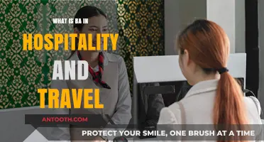 Hospitality and Travel: A BA Overview