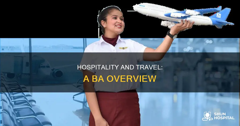 what is ba in hospitality and travel