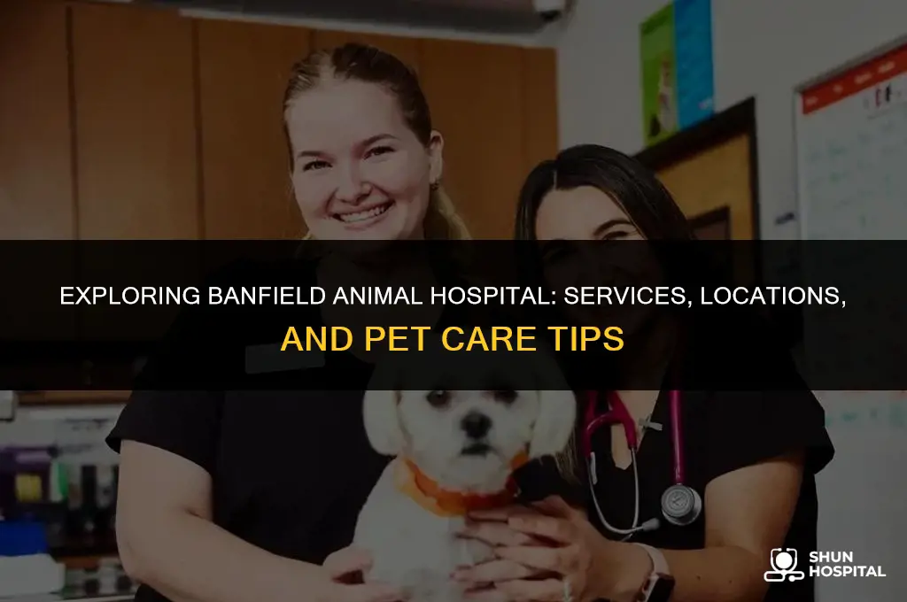 what is banfield animal hospital