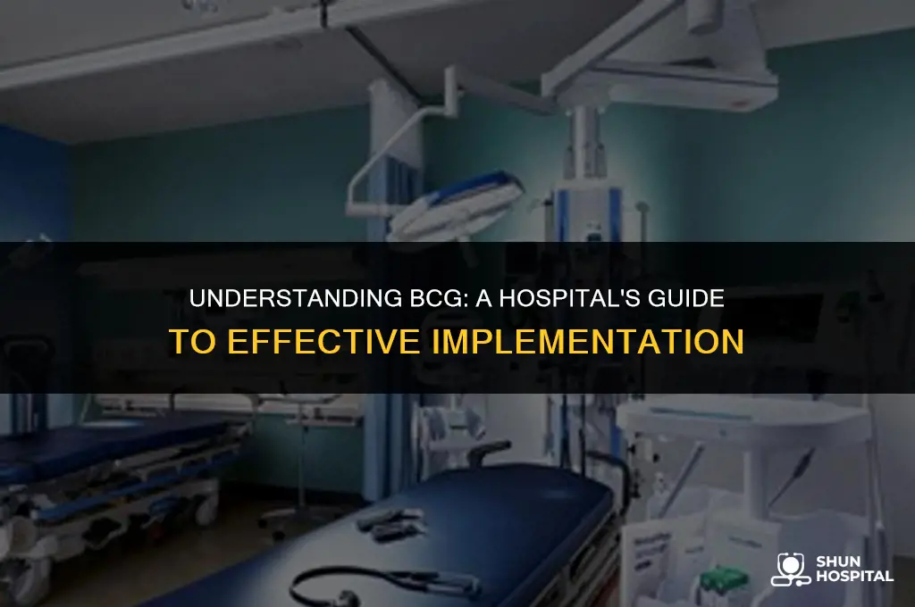 what is bcg with hospital
