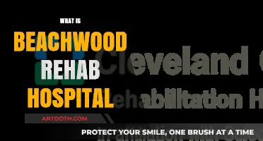 Exploring Beachwood Rehab Hospital: A Comprehensive Guide to Recovery Services