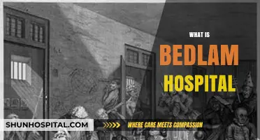 Unraveling the Mysteries of Bedlam Hospital: A Historical Deep Dive