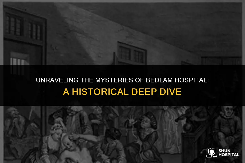 what is bedlam hospital