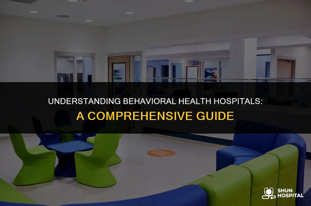 what is behavioral health hospital