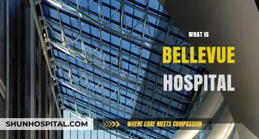 Exploring Bellevue Hospital: A Comprehensive Guide to Its Services and Reputation
