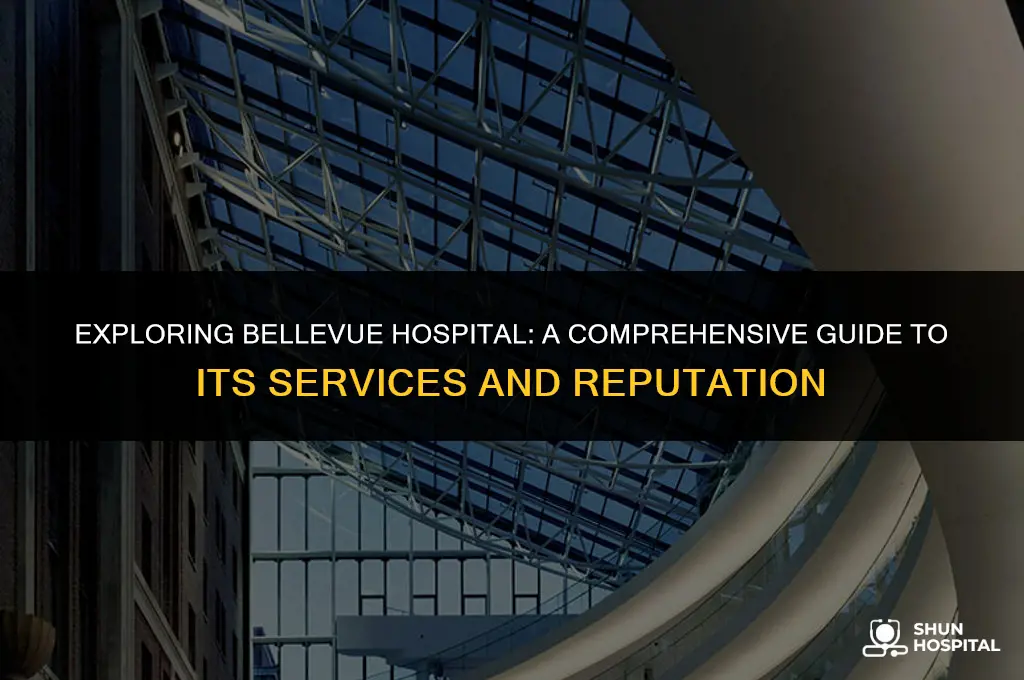 what is bellevue hospital