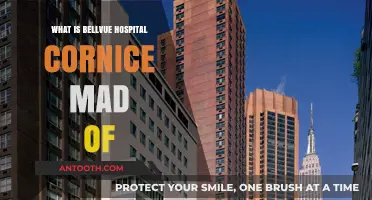 The Cornice Composition of Bellevue Hospital