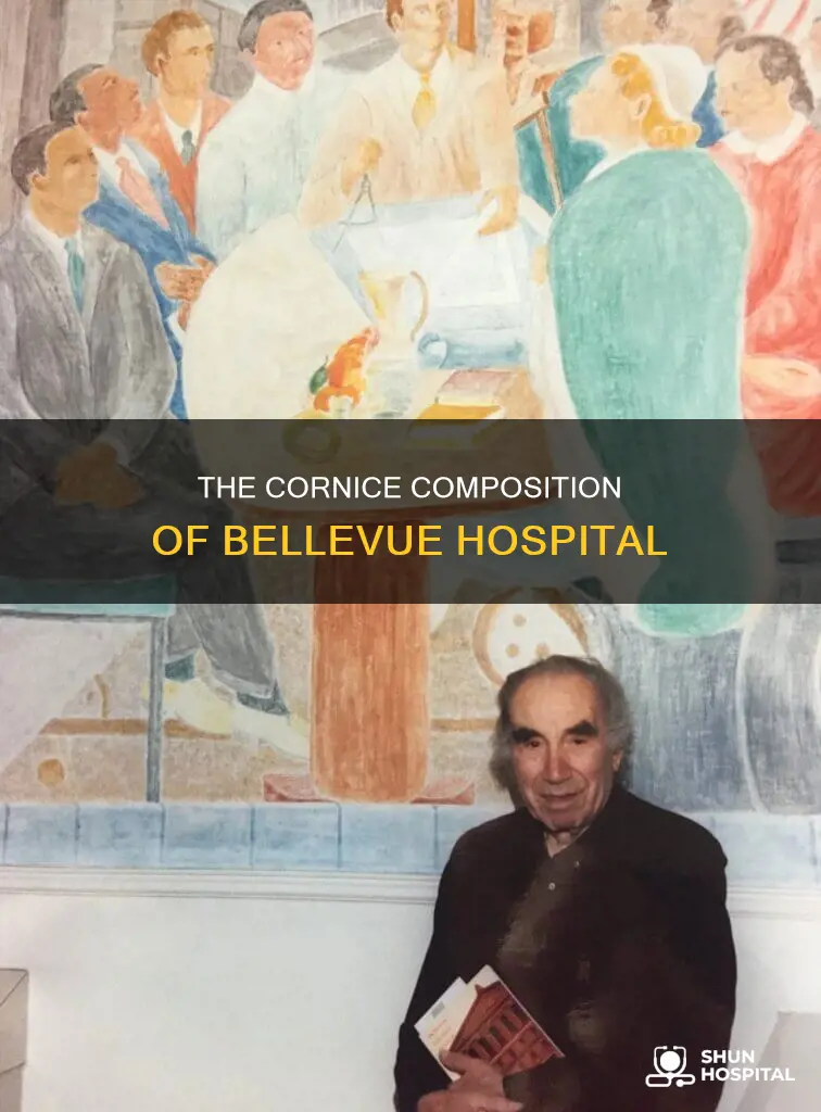 what is bellvue hospital cornice mad of
