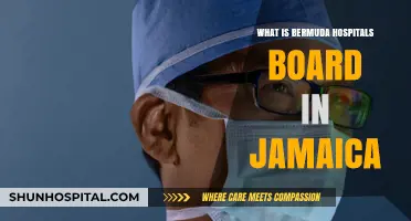 Bermuda Hospitals Board: Jamaica's Healthcare System