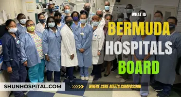 Understanding Bermuda's Healthcare: An Insight into the Bermuda Hospitals Board