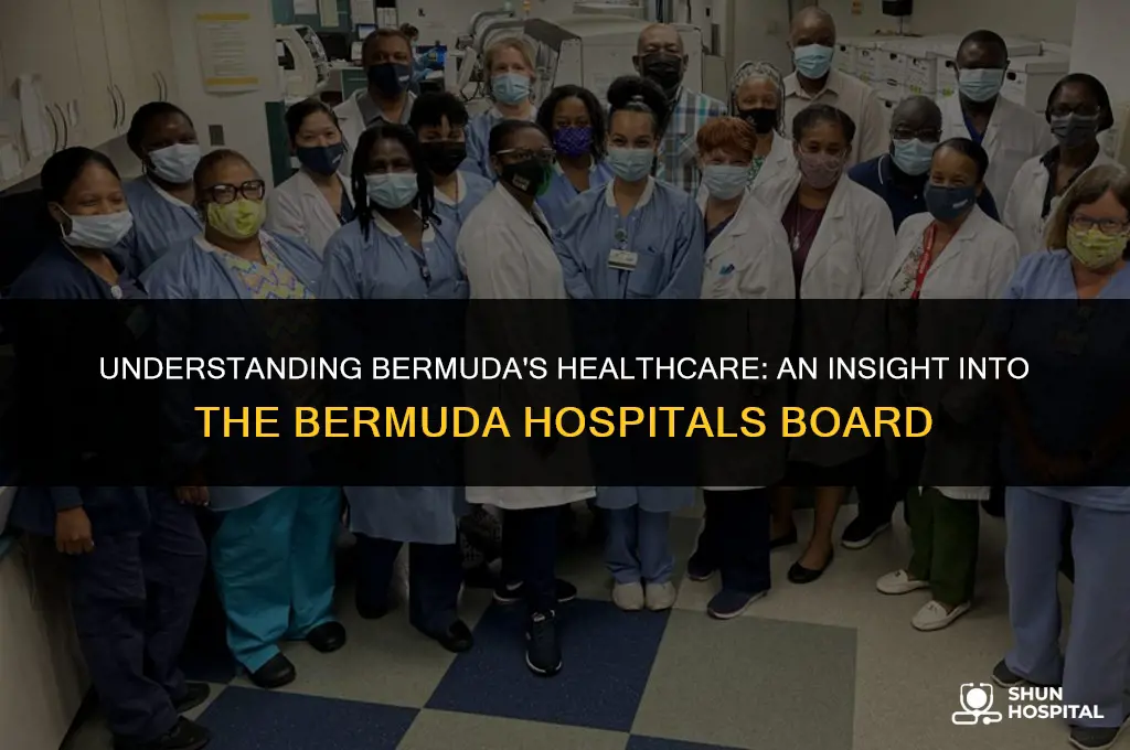 what is bermuda hospitals board