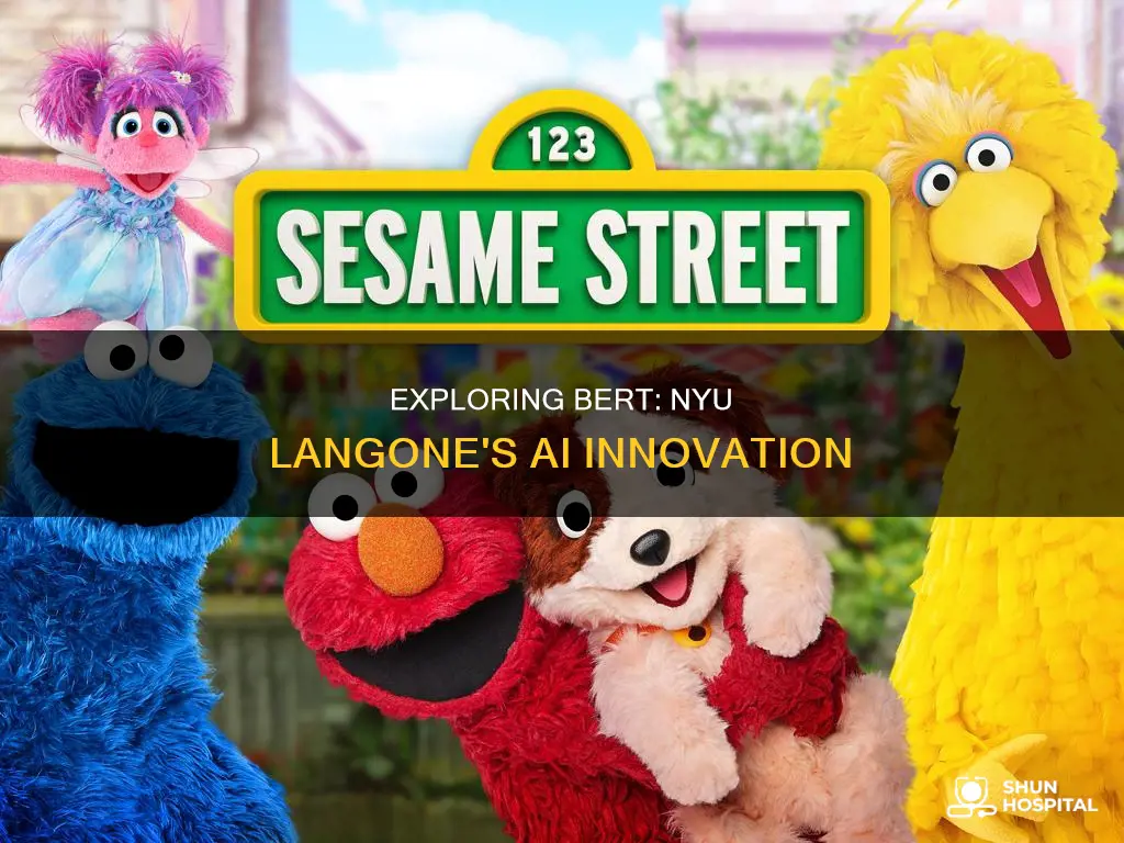 what is bert at nyu tisch hospital